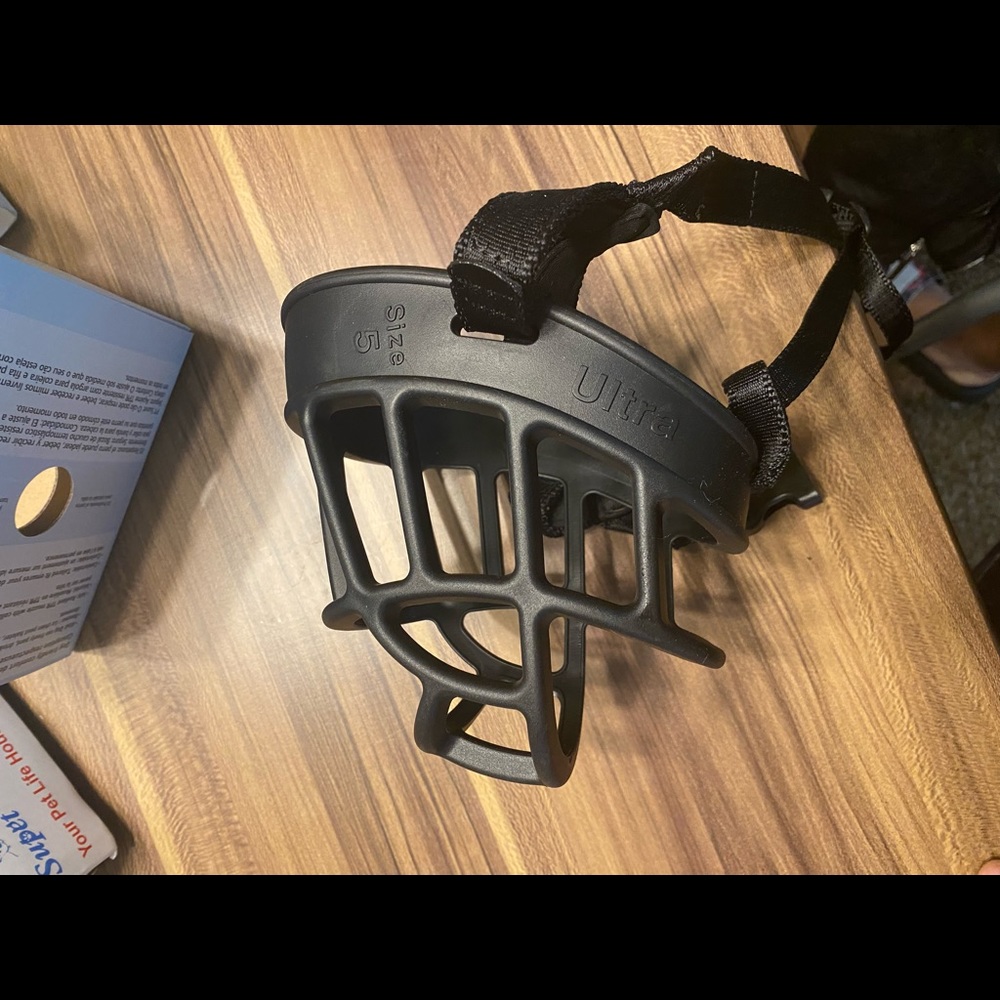 Dog muzzle size 5.